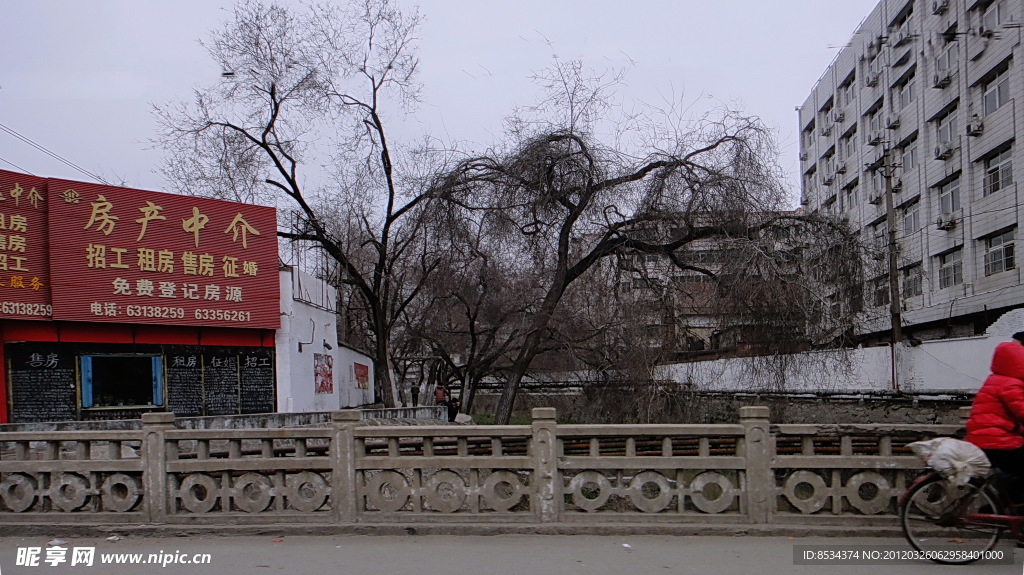 老树村