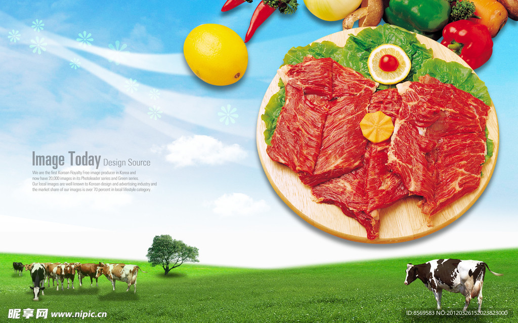 牛肉模板psd