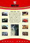 雁荡山美景美食海报