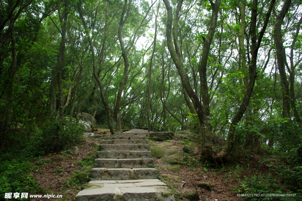 山间小路