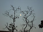 月圆莫思乡
