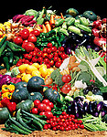 高清蔬菜分层图片