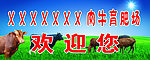 肉牛育肥场欢迎您两面帆