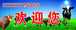 肉牛育肥场欢迎您