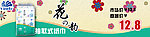 网上商城花之韵纸巾