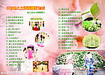 婚庆