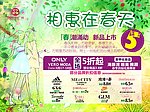 春天 拉网展架