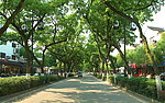 城市道路