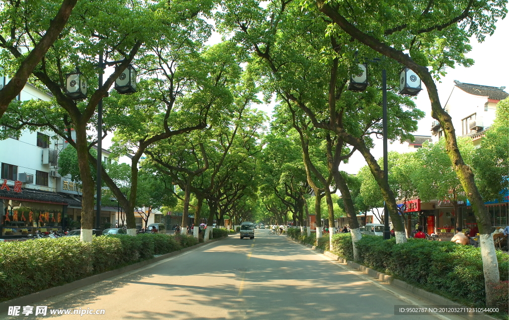 城市道路