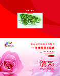 玫瑰园邀请函封面