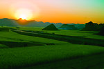 金鸡丛林 夕阳美景