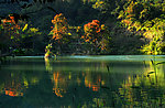 野鸭湖之冬