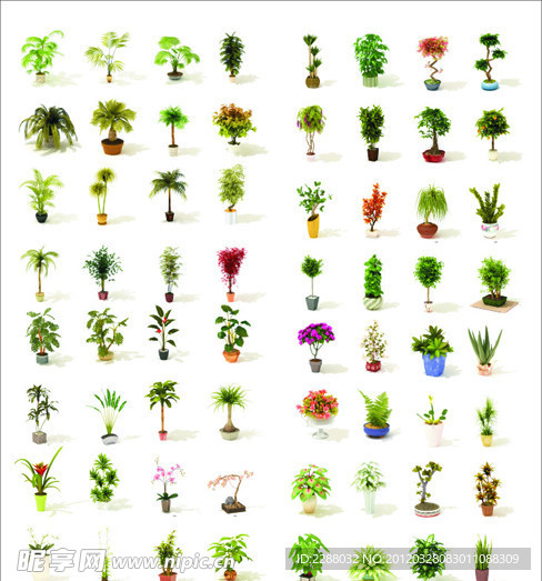 绿色植物