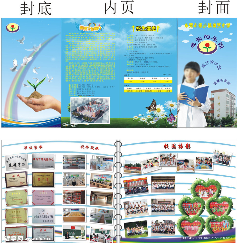 学校折页