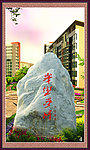 风景石头