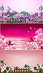 花卉 背景