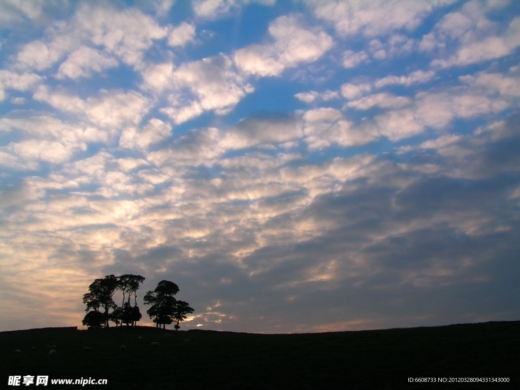 野外夕阳风光