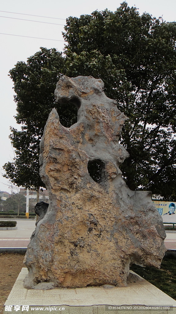 奇石 上山虎