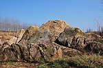 奇石 微型山