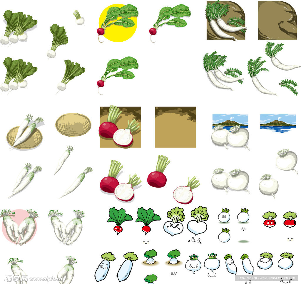 白萝卜水萝卜合集