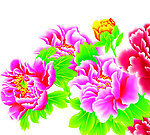 花儿