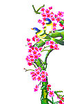 花鸟图