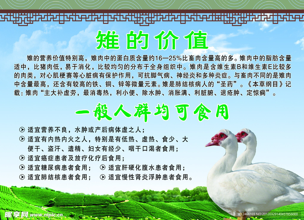 鸭子