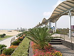金山风光