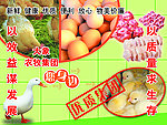 企业文化 鸡肉产品