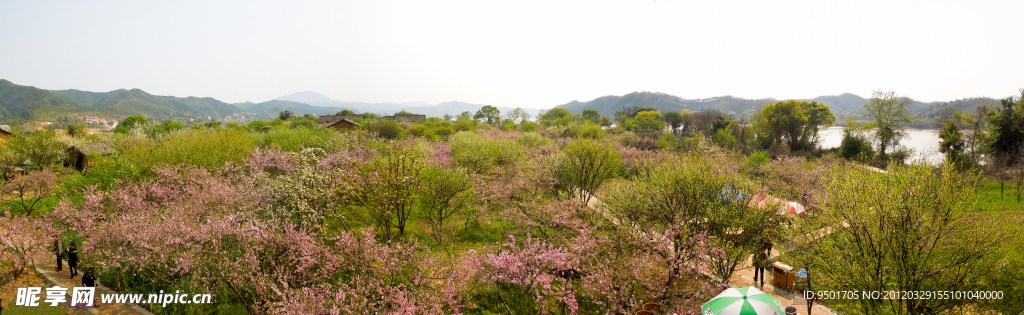 赣州赣县桃花岛全景