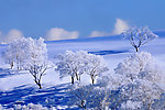 雪景图片
