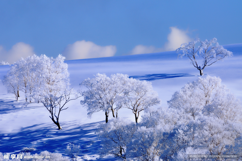 雪景图片