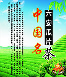 茶的写真 喷绘 彩页