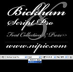 BickhamScriptPro系列字体下载