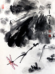 荷塘蜻蜓