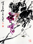 葡萄草虫图
