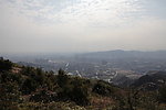 山林