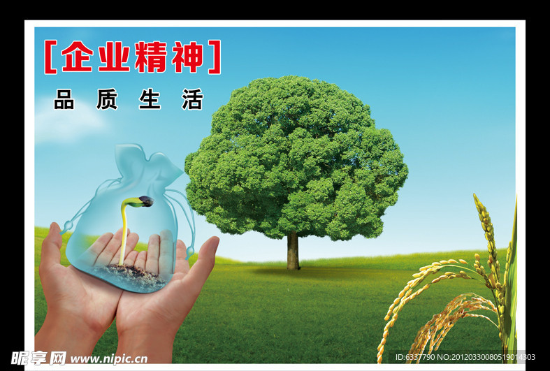 企业文化