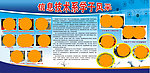学校宣传栏