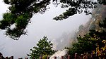 黄山雾