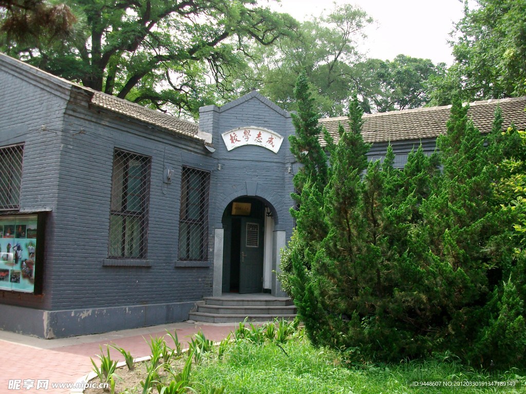 学校