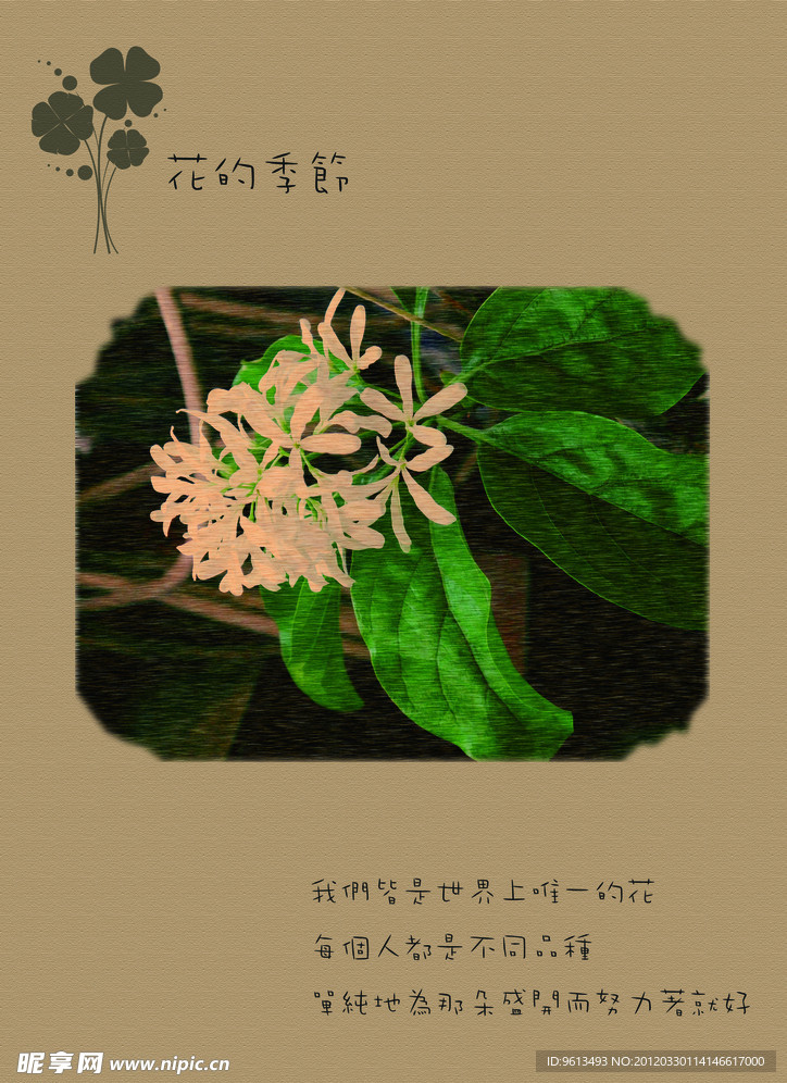 花的季节