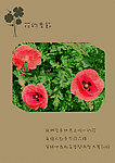 花的季节