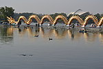 龙尾