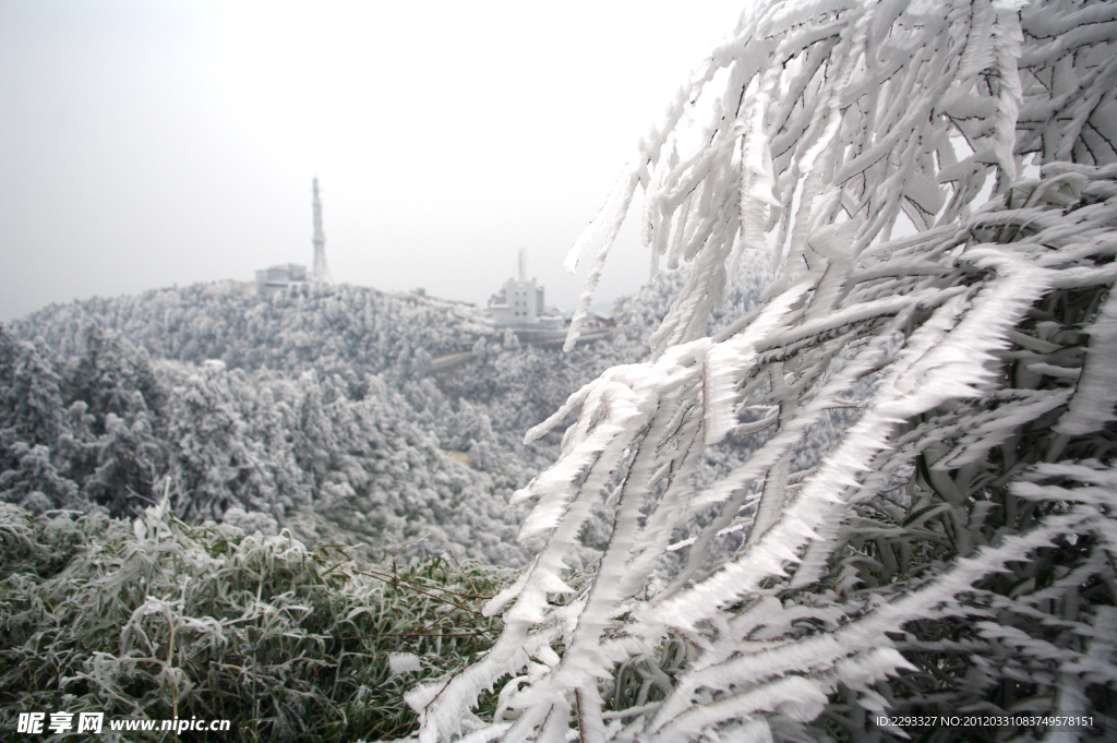 黄山白雪
