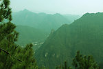 青山