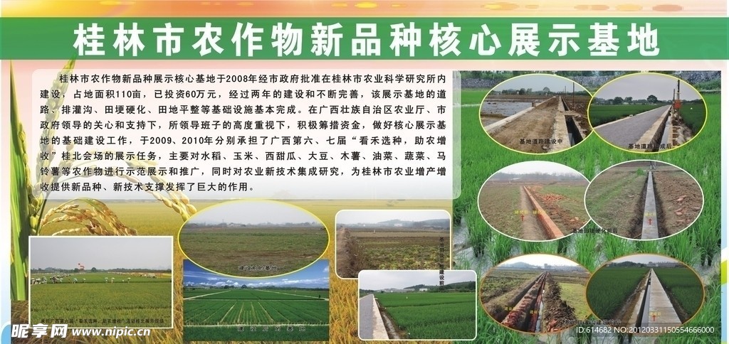 农业宣传展板