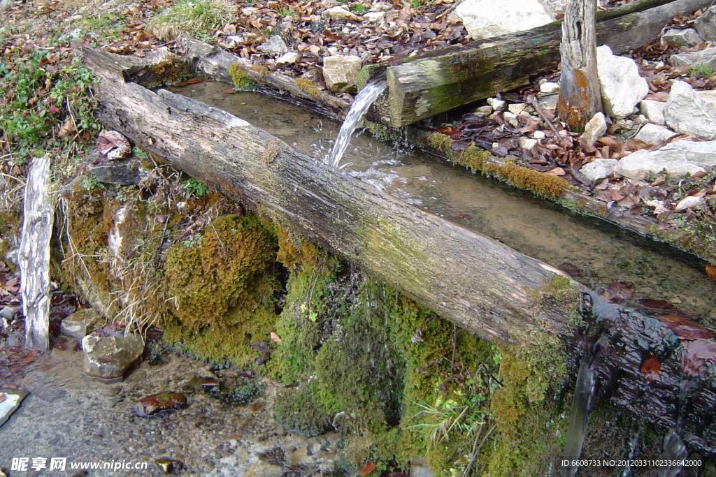 小溪水流