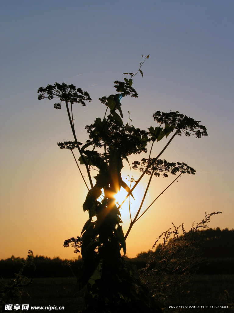 夕阳风光