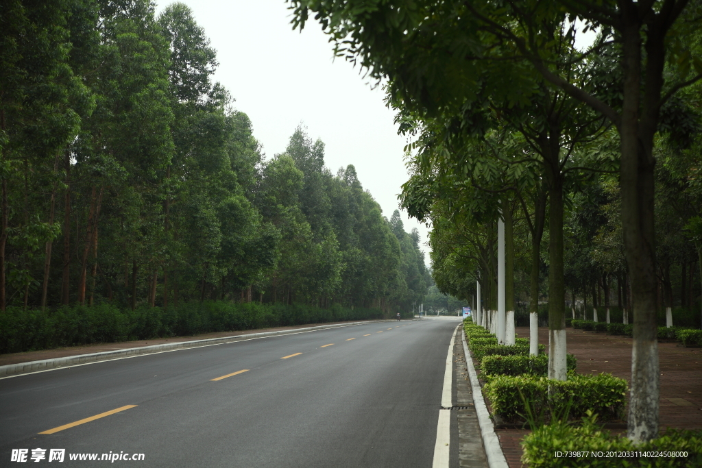 城市公路